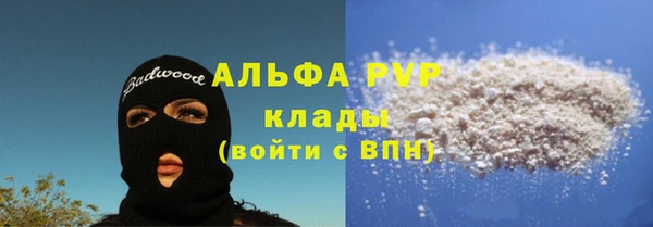 прущий лед Алзамай