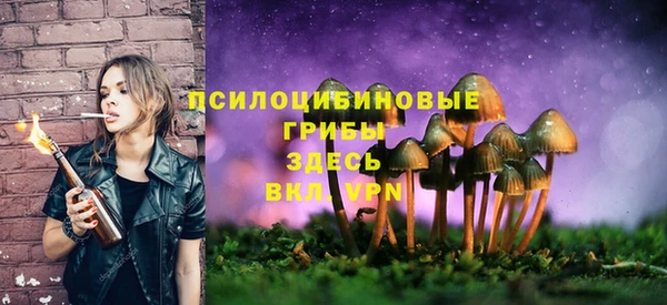 ешки Алексин